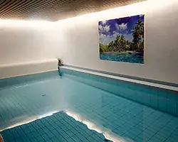 Pool & Wellness